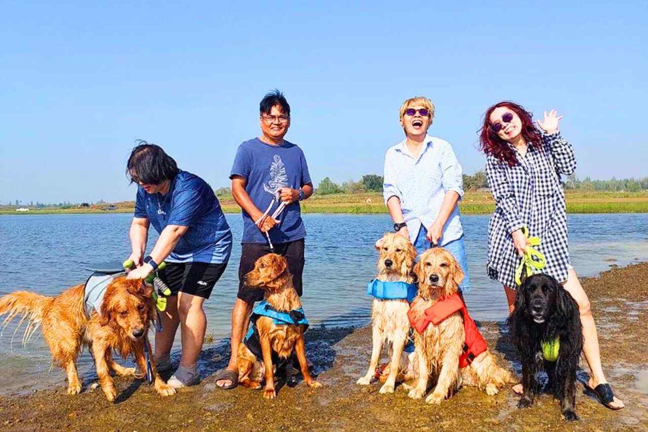 Le tourisme animalier stimule les dépenses en Thaïlande