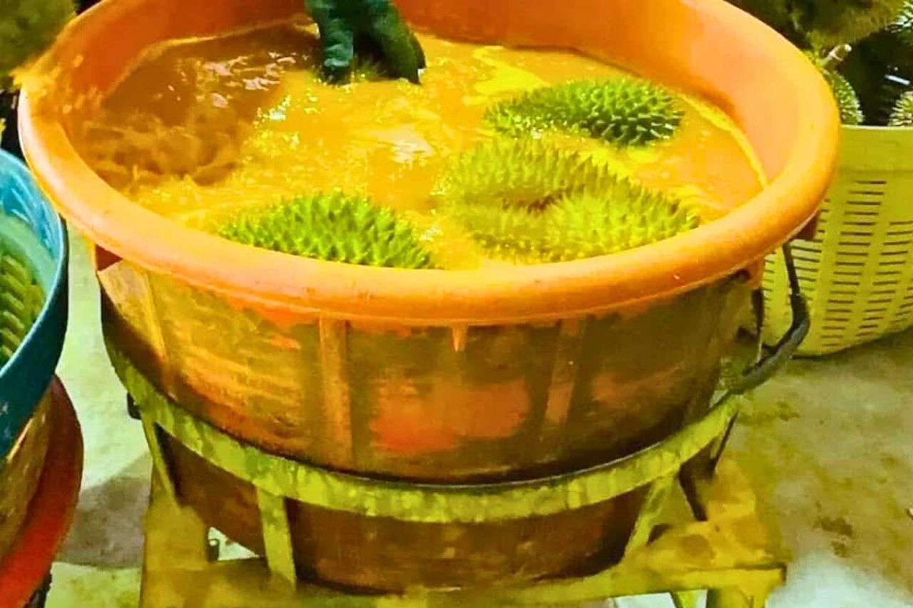 Crise des durians en Thaïlande : la Chine laisse de nouveau passer les conteneurs