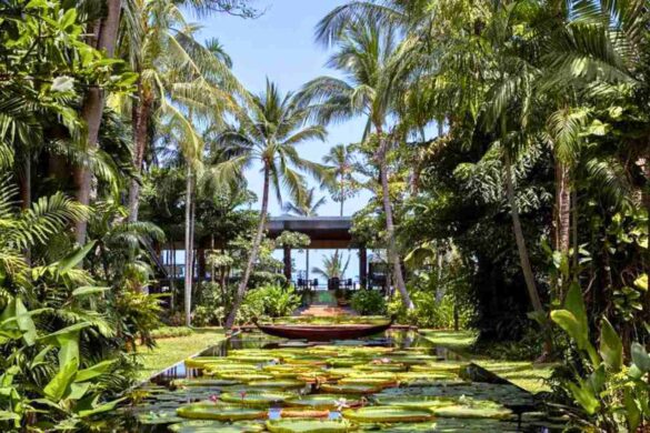 Le tourisme se met au vert en Thaïlande