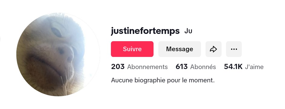 Thaïlande : un singe vole le téléphone d'une touriste française et fait un selfie