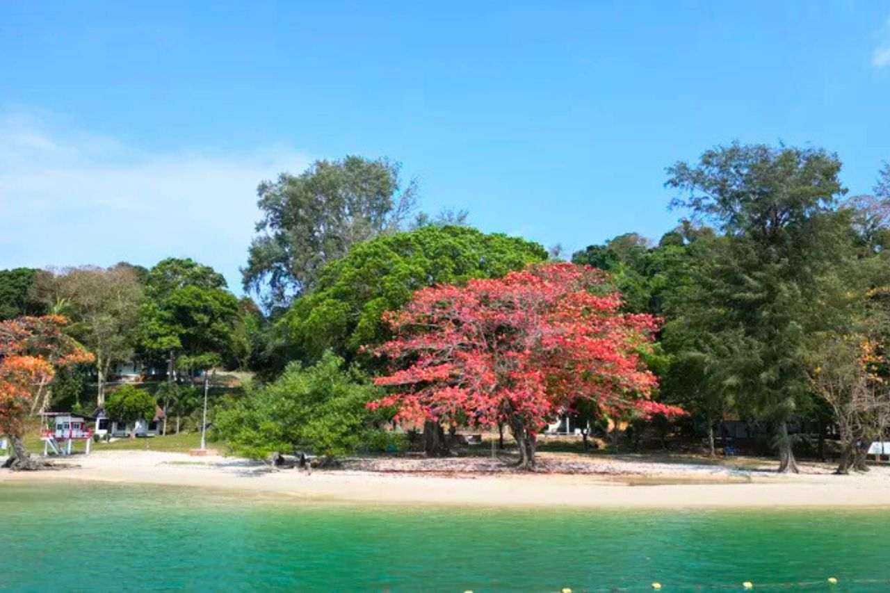 Une île de Thaïlande primée pour son tourisme durable