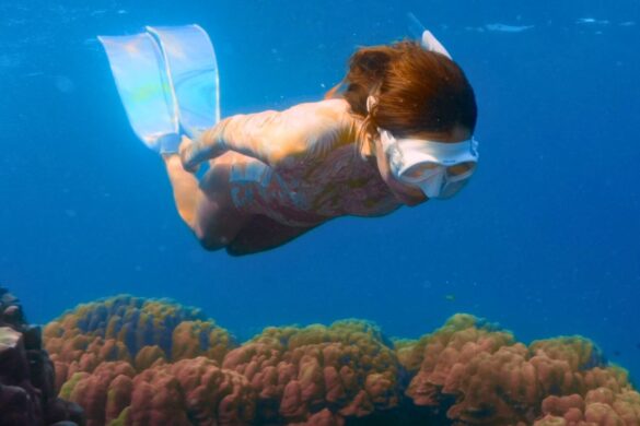 Plongée en Thaïlande : nouvelles règles que les voyageurs doivent connaître