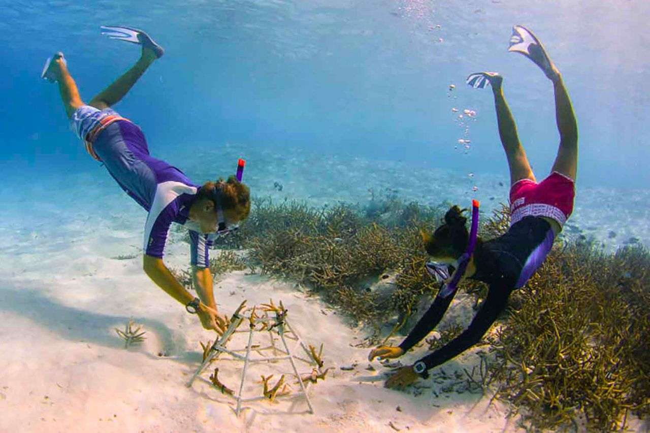Le tourisme se met au vert en Thaïlande