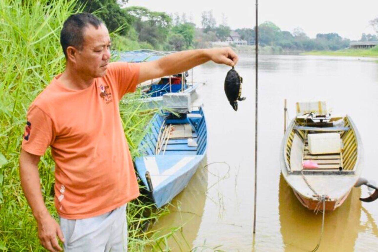 The Chinese rush on rare earths in Burma is poisoning Thailand