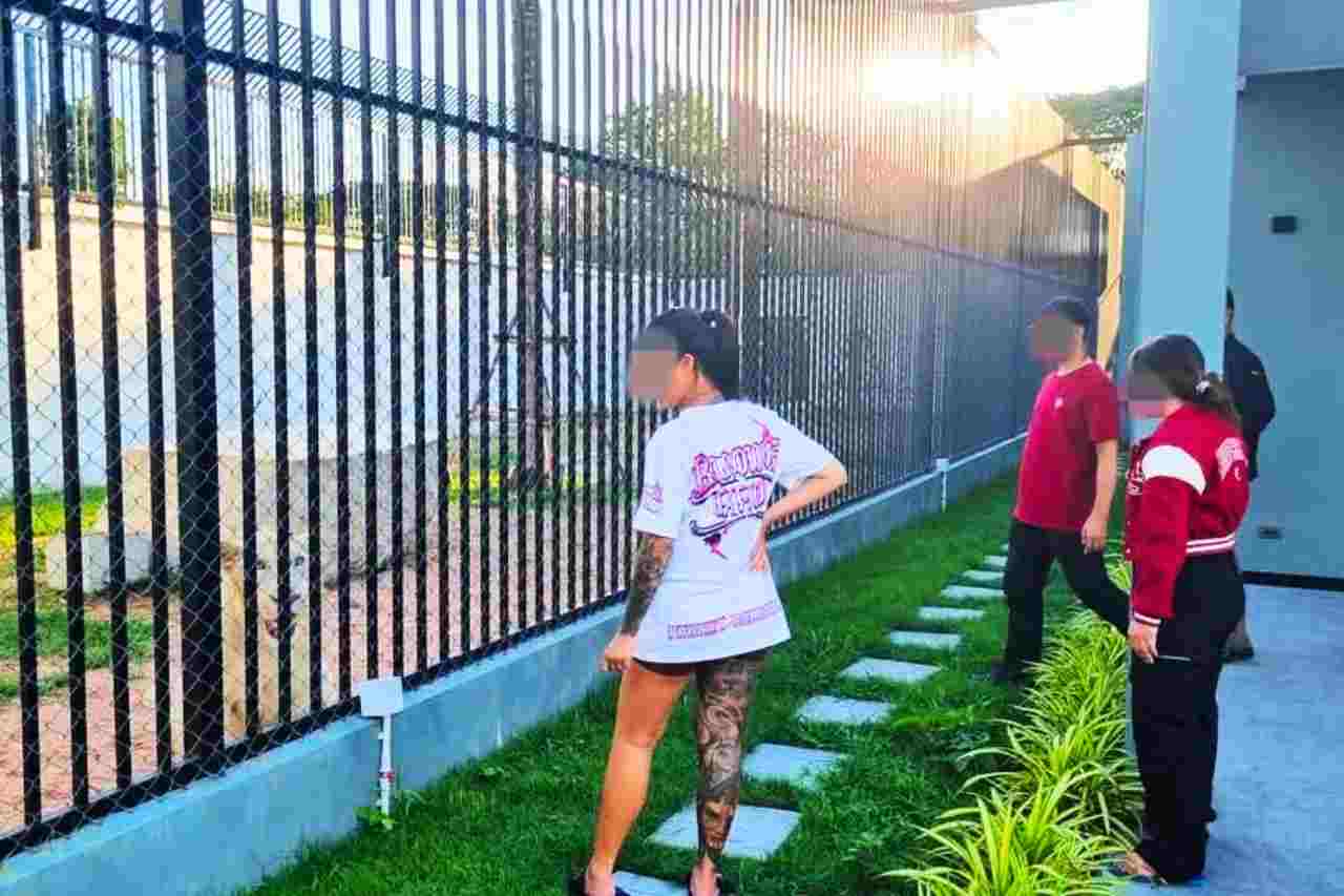 Pourquoi vous pouvez vous faire manger par un lion en Thaïlande ?