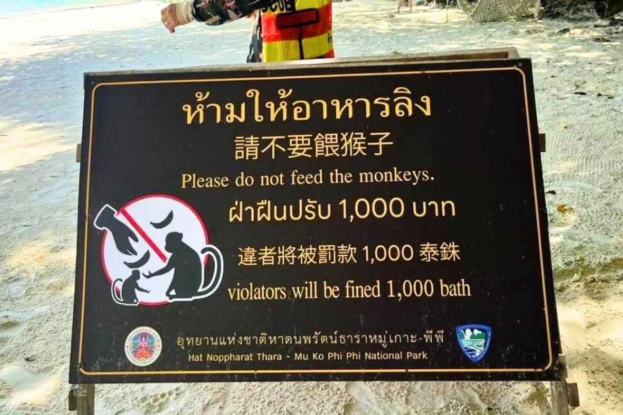 Un touriste étranger recherché en Thaïlande pour avoir nourri des singes