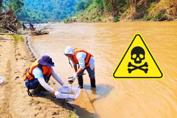 Empoisonnement des rivières à l&rsquo;arsenic : la Thaïlande mise sur des filets filtrants