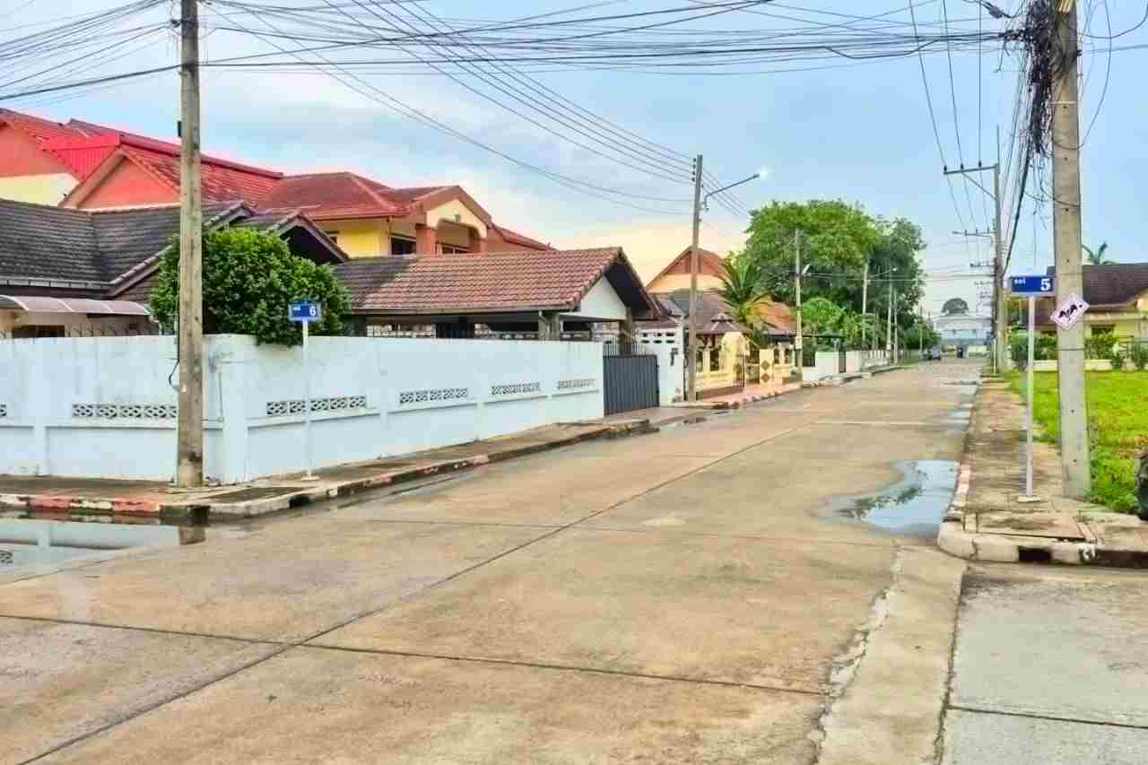 Thaïlande : un Britannique aurait laissé ses pitbulls tuer un chien en riant