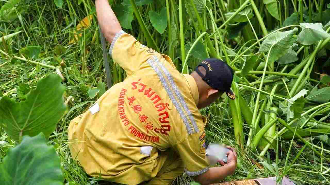 Macabre découverte en Thaïlande : un varan vu en train de dévorer un bébé