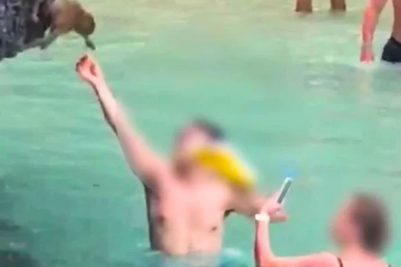 Un touriste étranger recherché en Thaïlande pour avoir nourri des singes