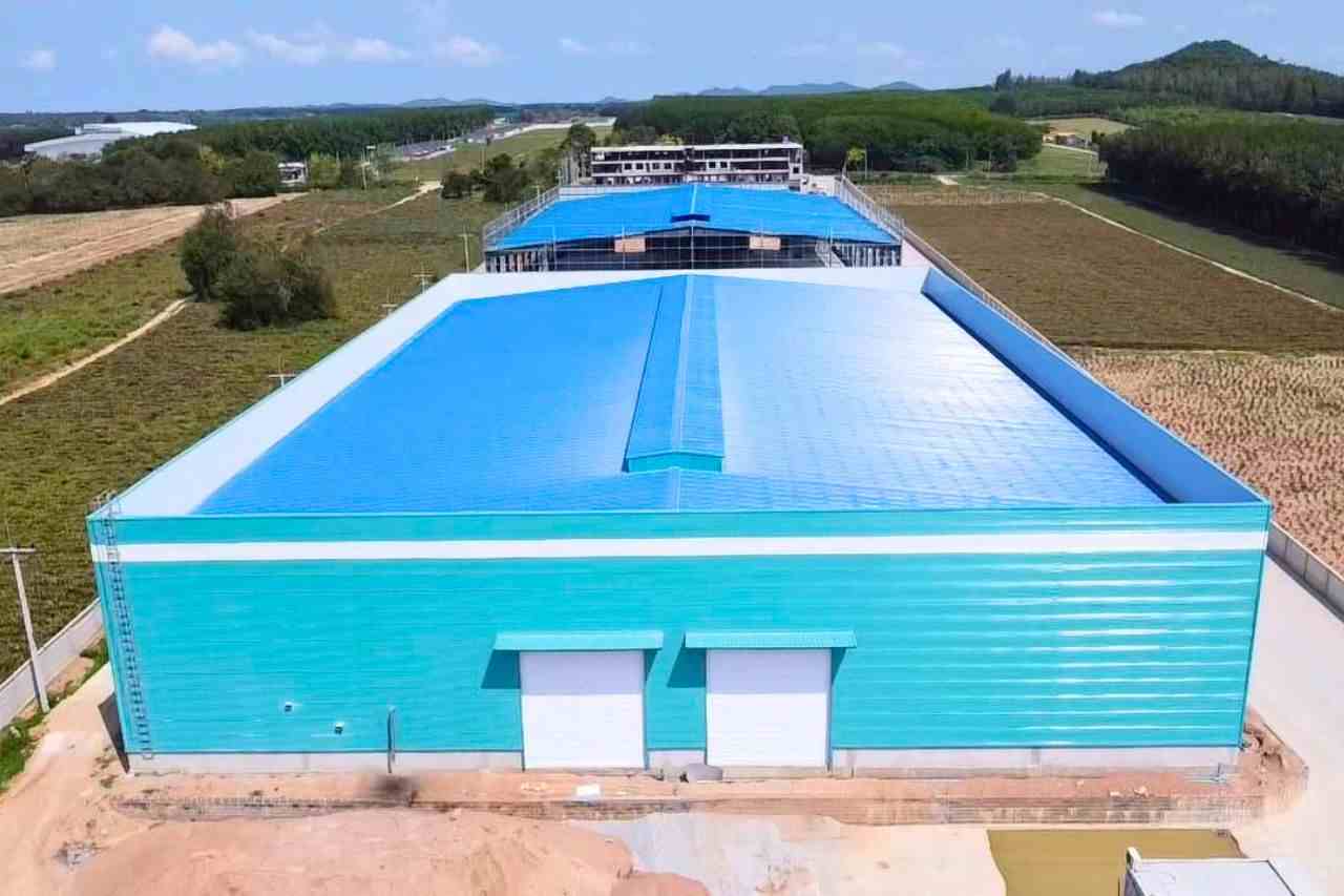 La Thaïlande cible les entreprises fictives responsables de 468 M $ de pertes