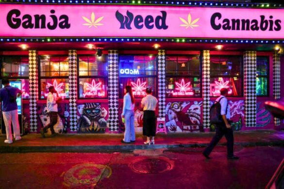 Thaïlande : les nouvelles règles plongent l&rsquo;industrie du cannabis dans le chaos