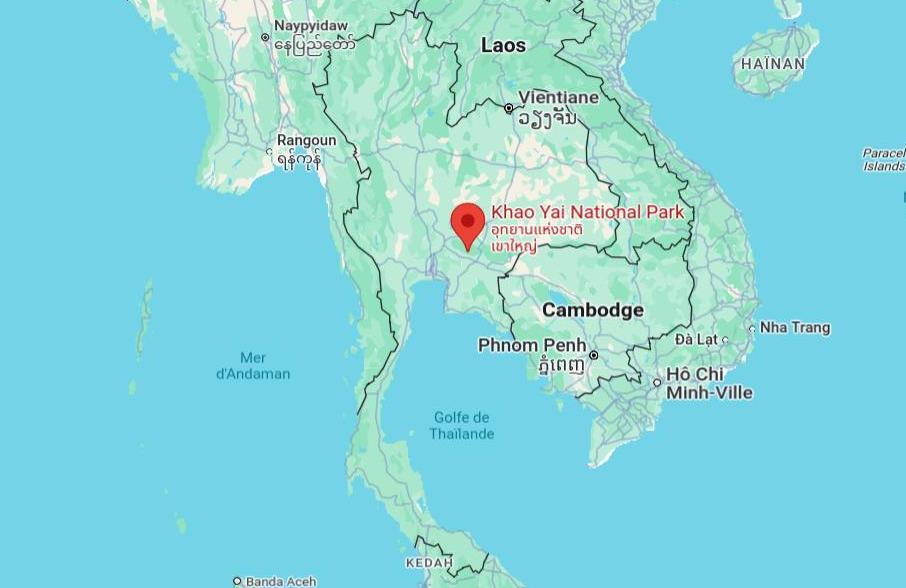 Insolite Thaïlande : un ours affamé surprend les clients d'un restaurant 4 Insolite Thaïlande : un ours affamé surprend les clients d'un restaurant