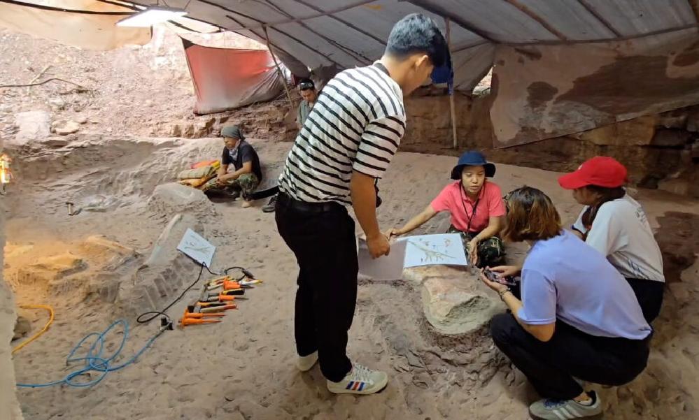 La Thaïlande a peut-être découvert une nouvelle espèce de dinosaure 4 La Thaïlande a peut-être découvert une nouvelle espèce de dinosaure