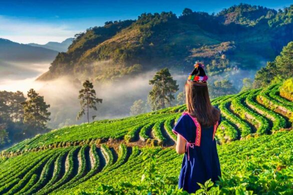 Thaïlande : Chiang Rai classée 2ᵉ ville la plus sûre au monde pour les femmes