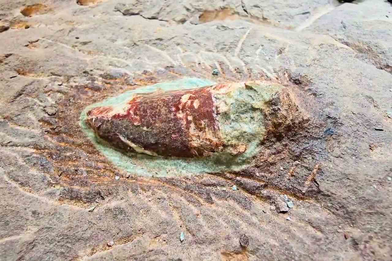 La Thaïlande a peut-être découvert une nouvelle espèce de dinosaure 5 La Thaïlande a peut-être découvert une nouvelle espèce de dinosaure