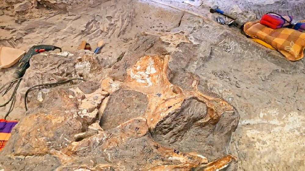 La Thaïlande a peut-être découvert une nouvelle espèce de dinosaure 7 La Thaïlande a peut-être découvert une nouvelle espèce de dinosaure