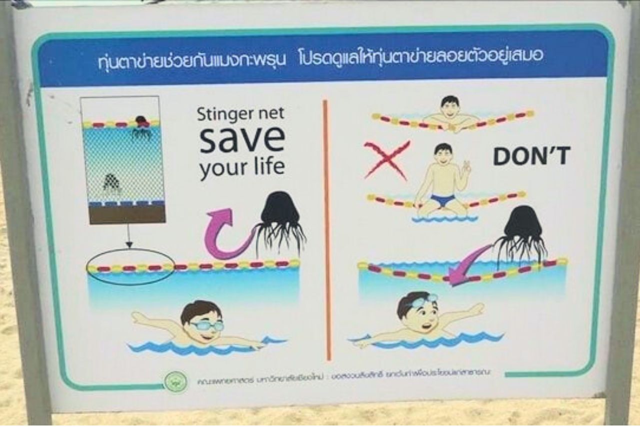 Thaïlande : méduses et autres dangers, conseils pour se baigner en toute sécurité