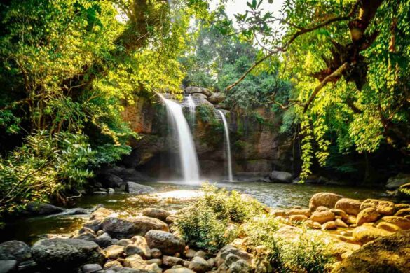 Khao Yai, joyau naturel de Thaïlande, sacré 2ᵉ destination rurale d’Asie