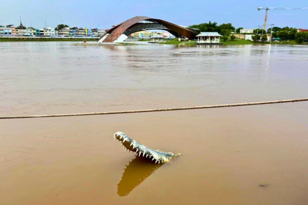 Inondations en Thaïlande : la tempête Bualoi fait 7 morts et 269 351 sinistrés 5 Inondations en Thaïlande : la tempête Bualoi fait 7 morts et 269 351 sinistrés