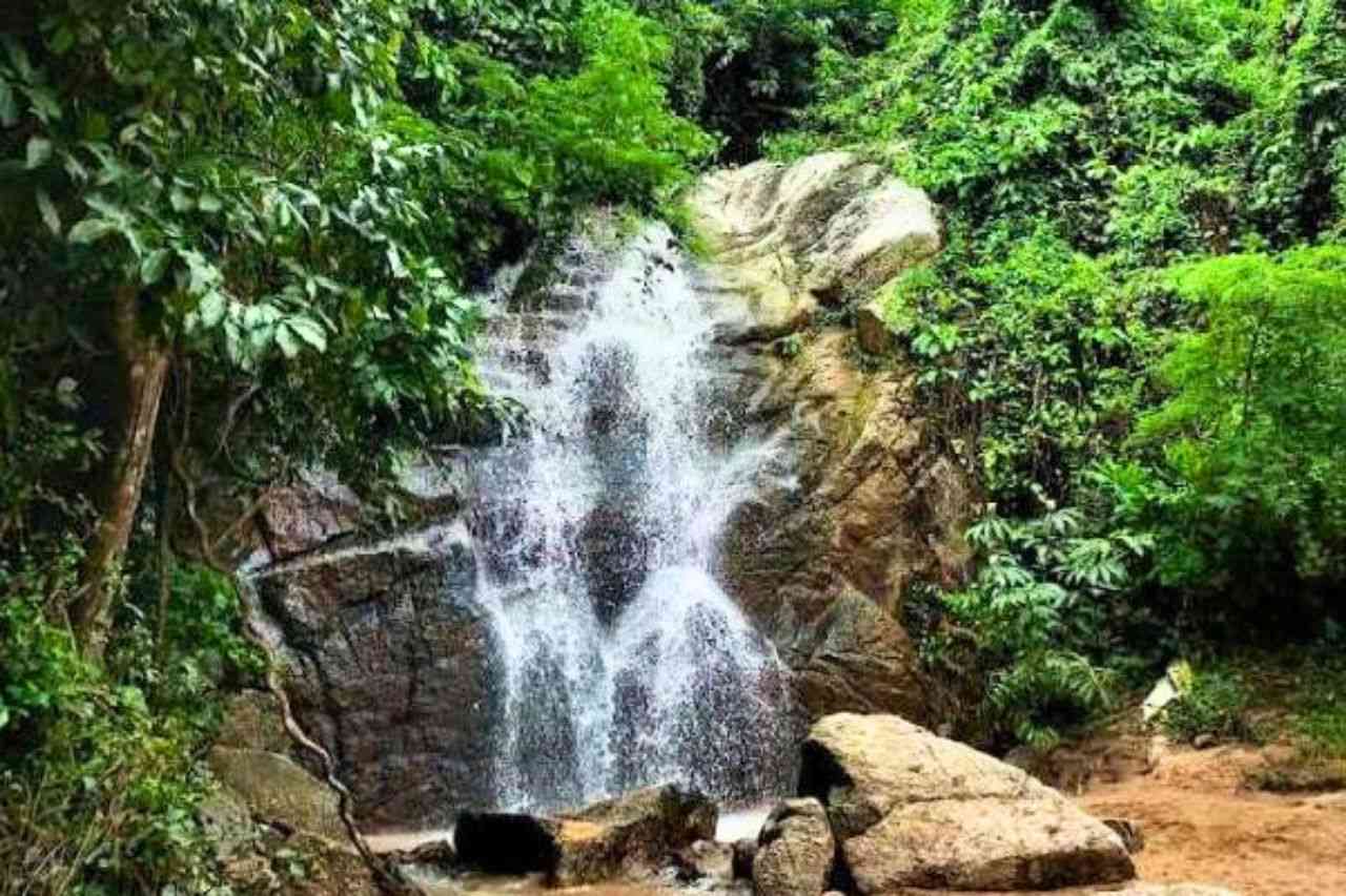 Thaïlande : le GPS l’envoie dans une zone dangereuse, il finit accidenté en forêt