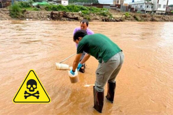 Thaïlande : niveaux élevés d’arsenic détectés dans le Mékong et ses affluents