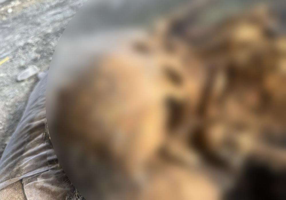 Thaïlande : le mystère du téléphone perdu mène à la découverte d’un corps 6 Thaïlande : le mystère du téléphone perdu mène à la découverte d’un corps