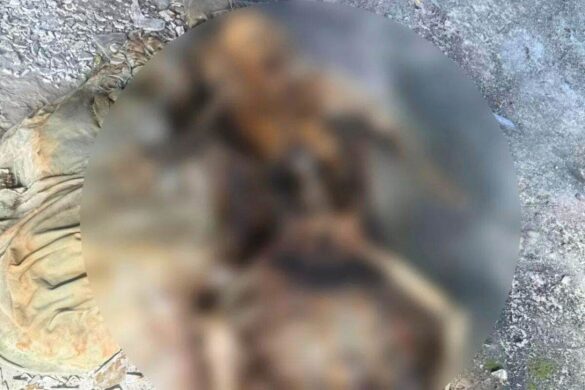 Thaïlande : il retrouve son téléphone perdu avec des photos d&rsquo;un cadavre