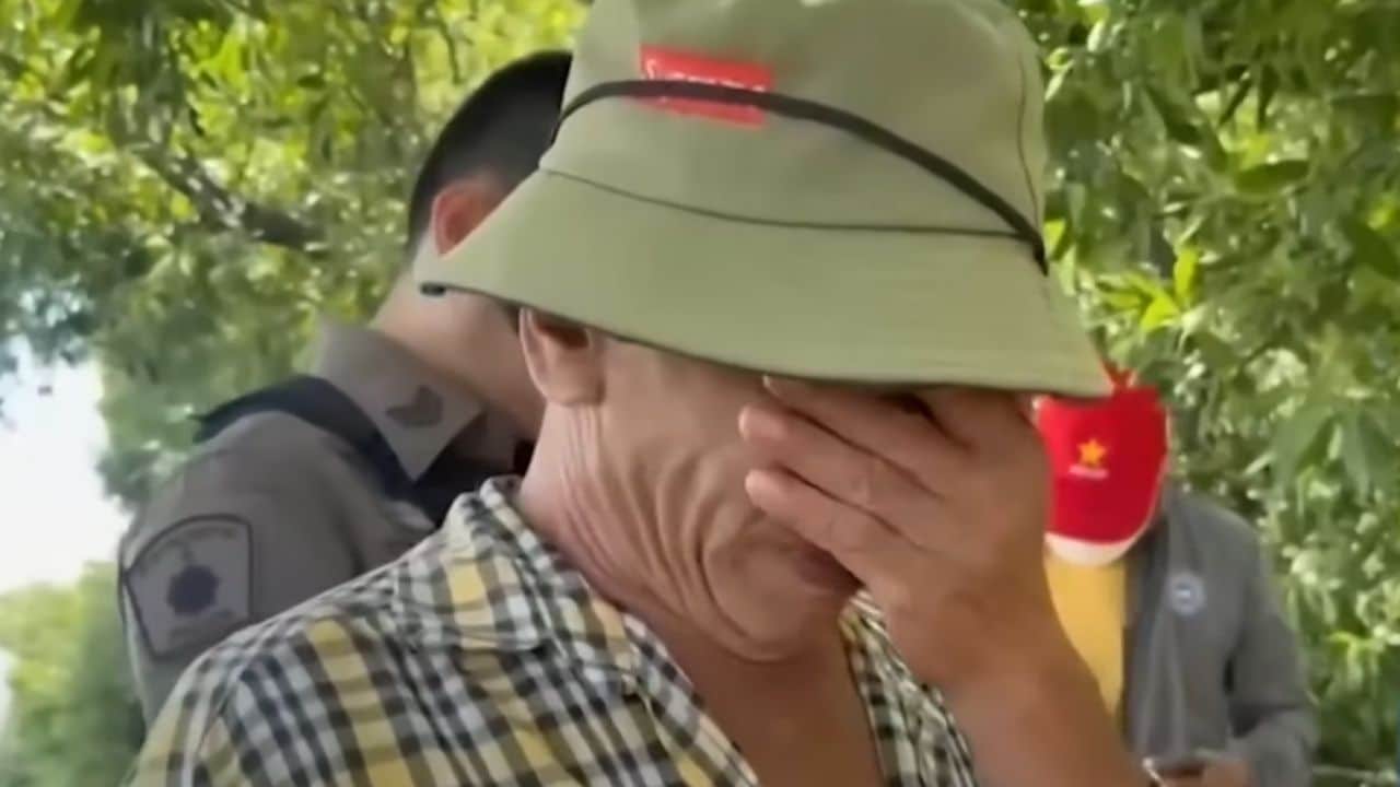 Piqué par des fourmis en Thaïlande, il perd la vie en quelques minutes 5 Piqué par des fourmis en Thaïlande, il perd la vie en quelques minutes