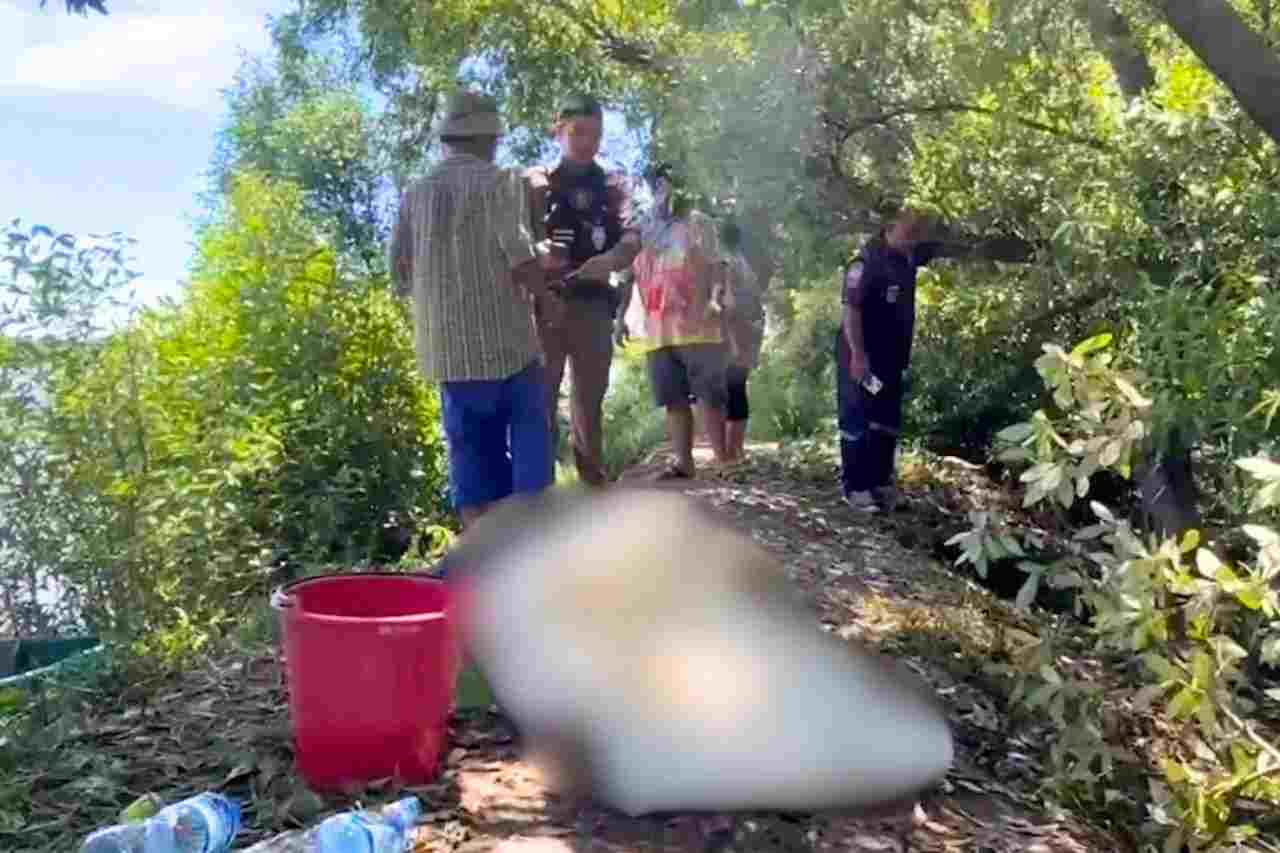 Piqué par des fourmis en Thaïlande, il perd la vie en quelques minutes 4 Piqué par des fourmis en Thaïlande, il perd la vie en quelques minutes