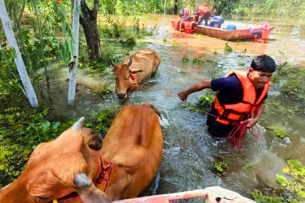 Inondations en Thaïlande : 19 provinces touchées, le bilan s’alourdit à 22 morts