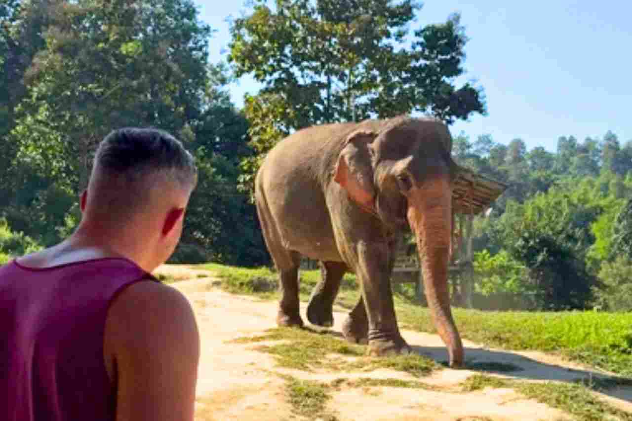 Ils quittent le stress britannique pour une vie simple en Thaïlande