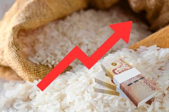 Baht trop fort : la Thaïlande est en train de perdre la bataille du riz