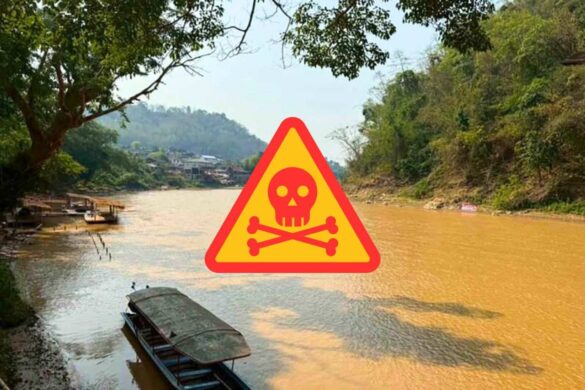 Thaïlande : l’impact dévastateur de l’arsenic qui pollue les rivières du nord