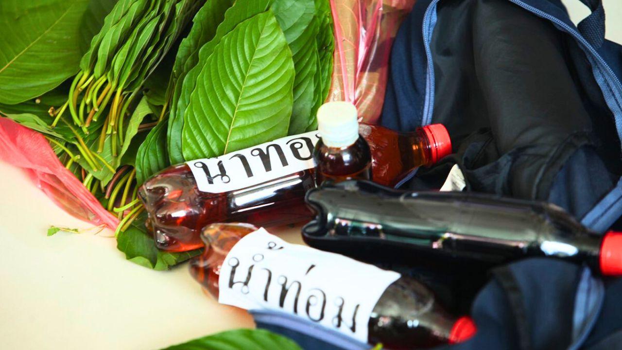 Feuilles de kratom et boissons infusées au kratom en bouteilles