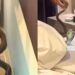Cobra retrouvé dans une chambre d’hôtel à Krabi près d’un lit occupé par des touristes