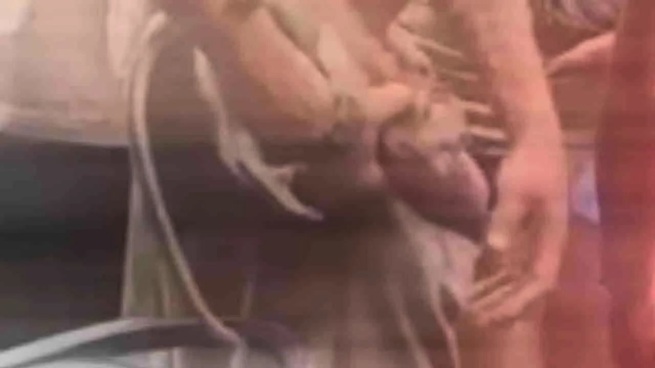 Étranger tenant un singe dans un bar à Pattaya