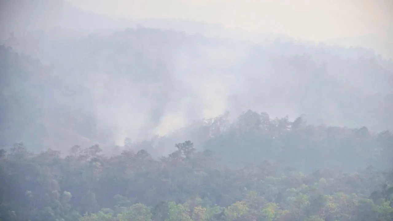 Thaïlande : état d’urgence face à une pollution extrême dans le nord