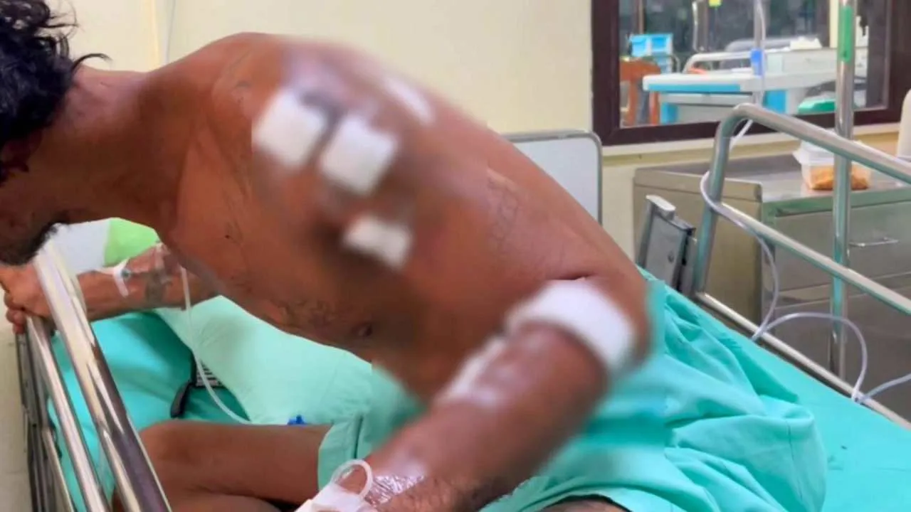 Thaïlandais hospitalisé après avoir été attaqué par un ours dans la province de Chanthaburi