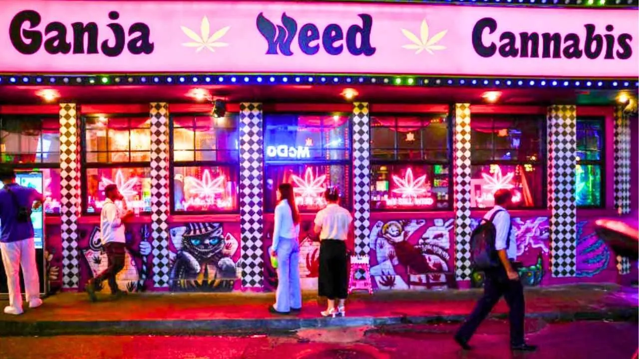 Cannabis : la Thaïlande impose des règles plus strictes aux vendeurs