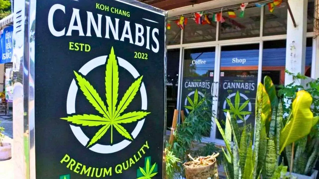 La Thaïlande durcit les contrôles du cannabis pour limiter l&rsquo;usage récréatif