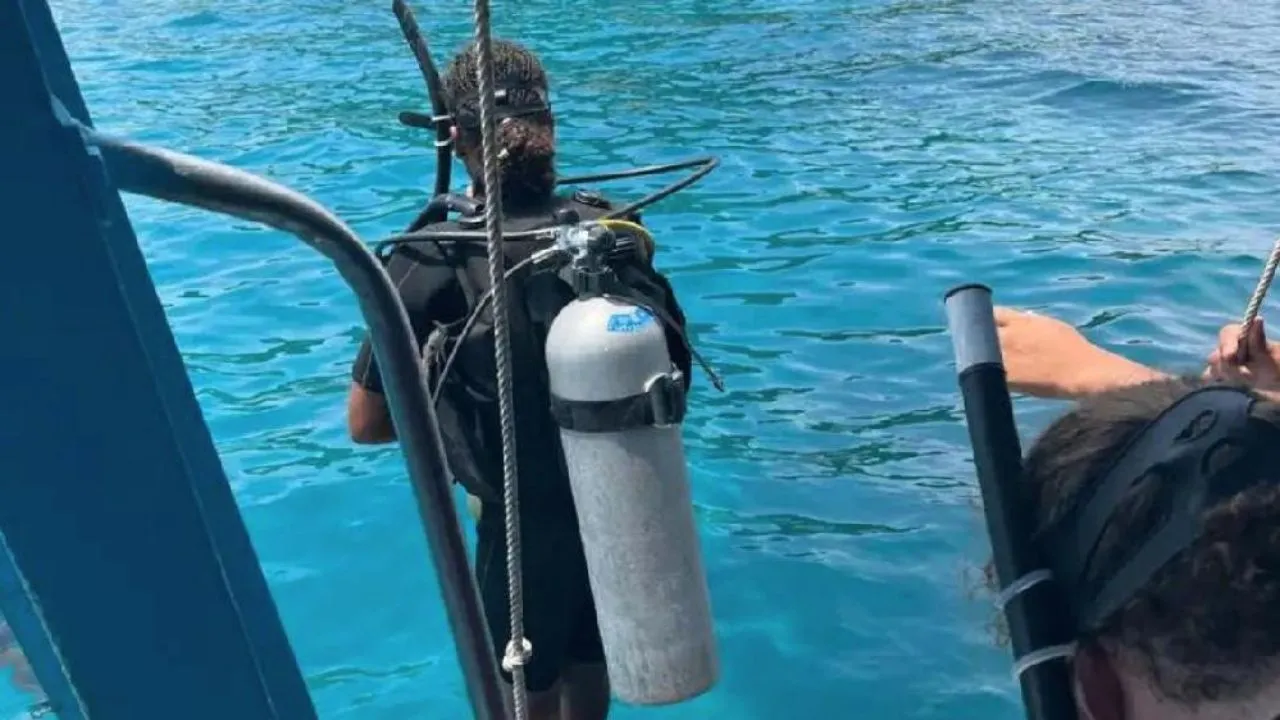 Plongée sous-marine à Koh Tao