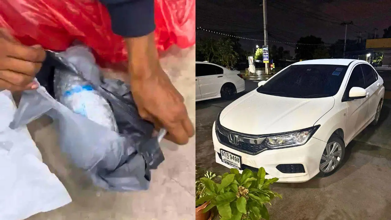 Thaïlande : un herbicide chinois soupçonné après la mort d’un automobiliste