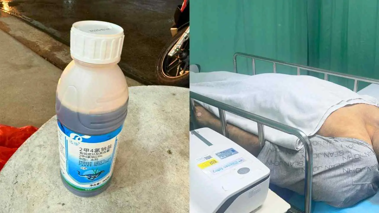 Bouteille d’herbicide de marque chinoise retrouvée dans le véhicule d’un conducteur thaïlandais décédé, à côté d’une image prise lors de sa prise en charge à l’hôpital
