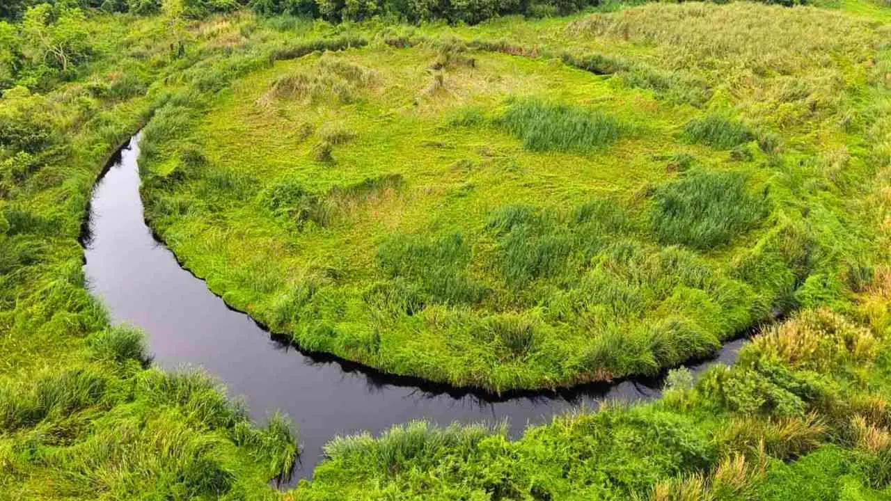 Canal circulaire entourant l'île-œil de Sam Khok dans la province de Pathum Thani