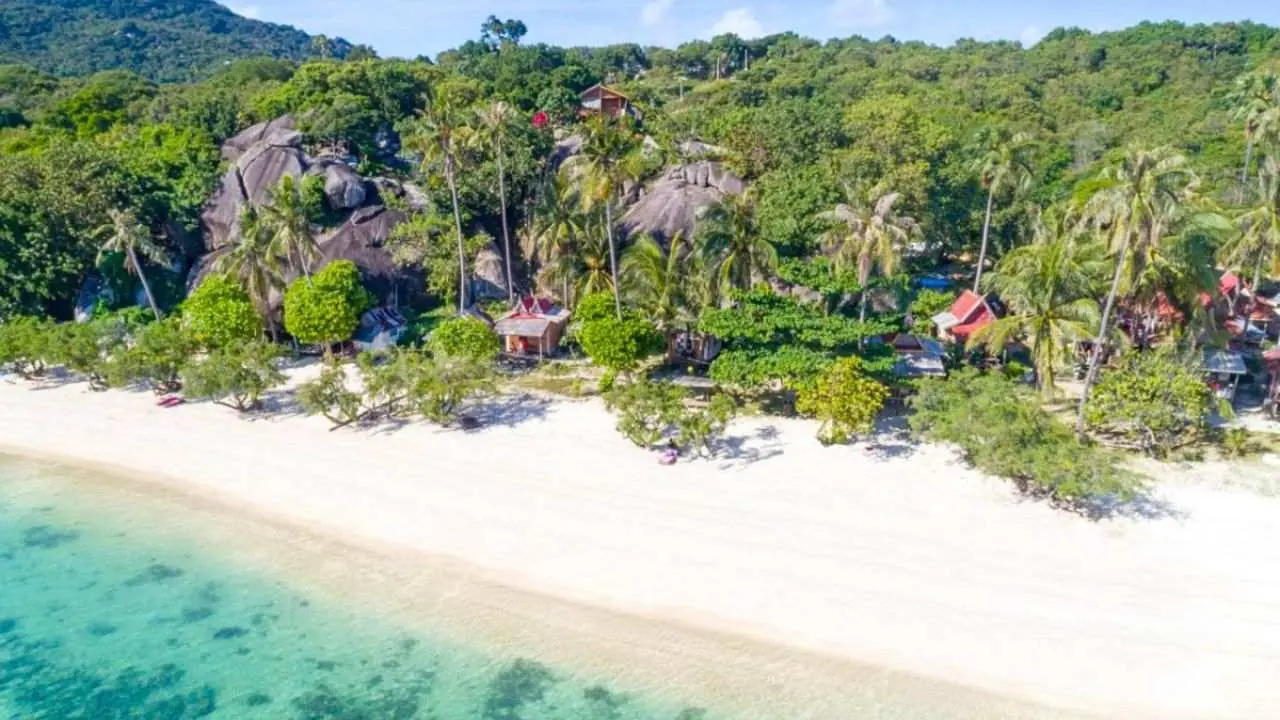 Vue aérienne d'une plage tropicale bordée de cocotiers et de rochers granitiques en Thaïlande