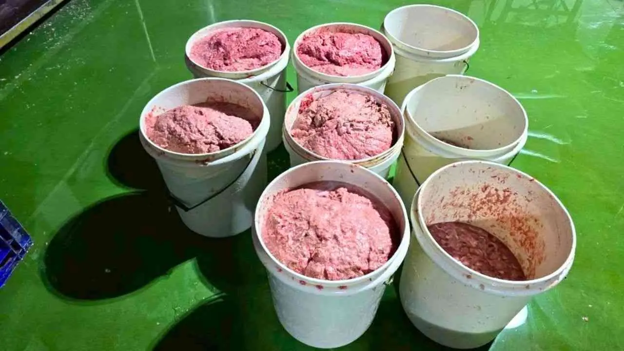 Seaux contenant de la viande transformée dans une usine de production alimentaire fermée par les autorités à Pathum Thani