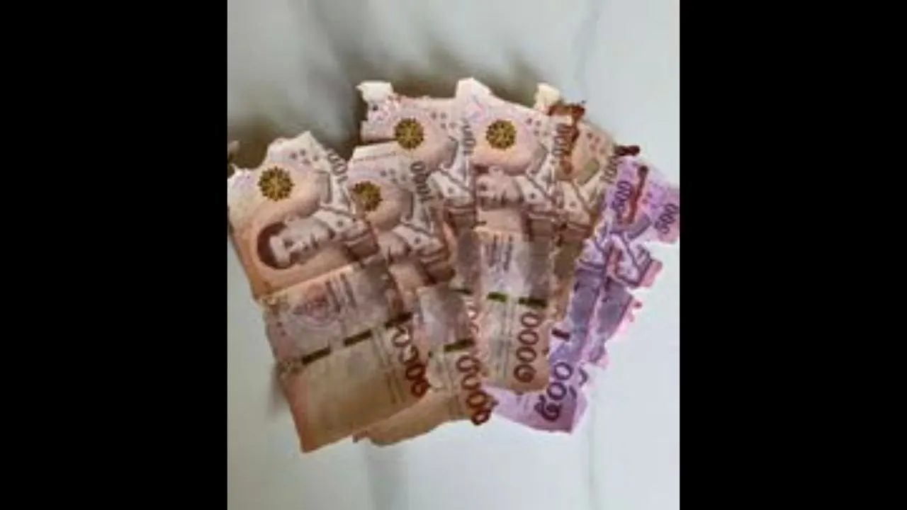 Billets thaïlandais de 1 000 bahts partiellement endommagés