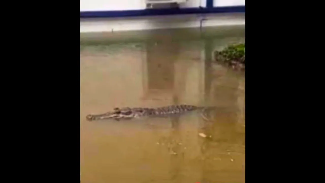 Image générée par IA montrant un faux crocodile dans les eaux de crue du lycée Singsamut à Sattahip, dans la province de Chon Buri
