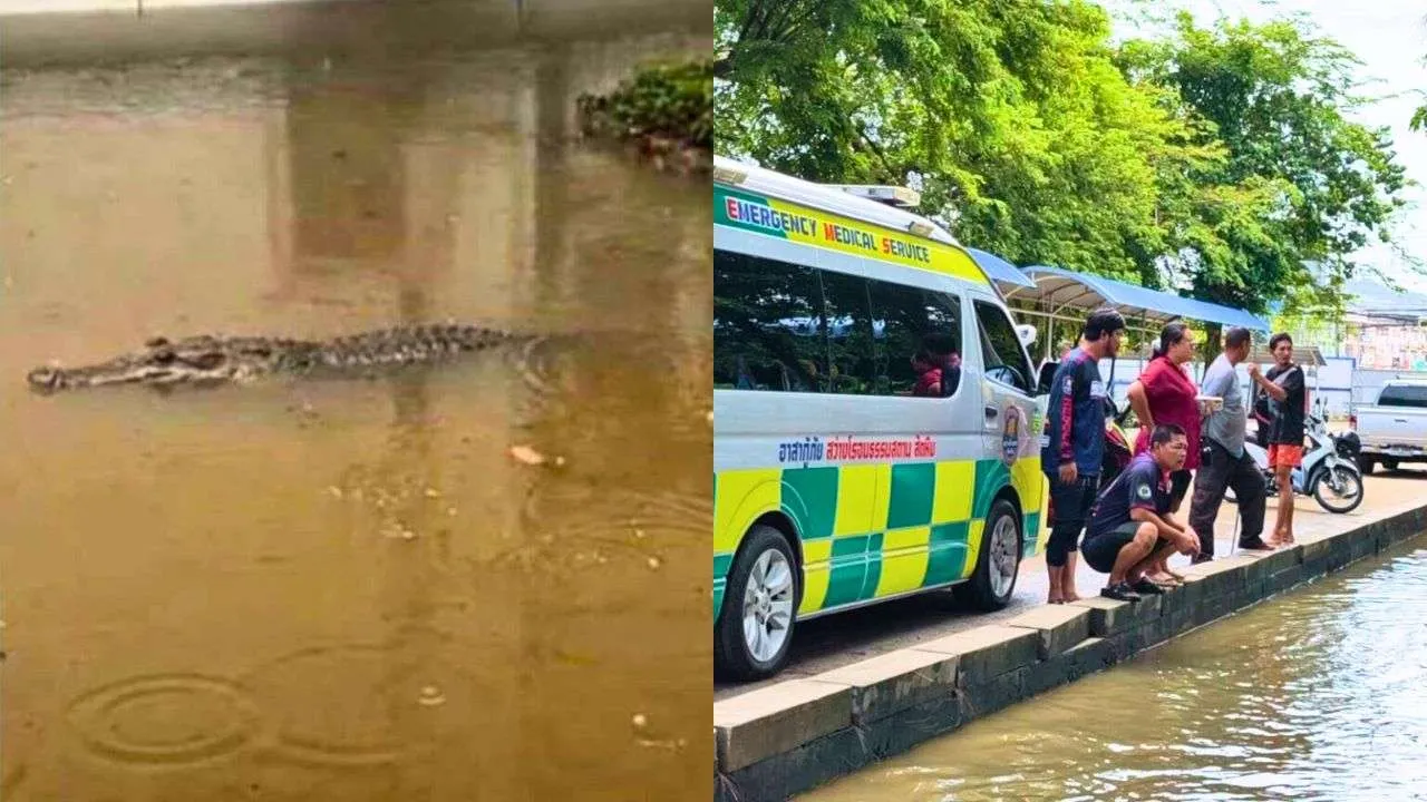 Thaïlande : un crocodile généré par IA sème la panique dans une école